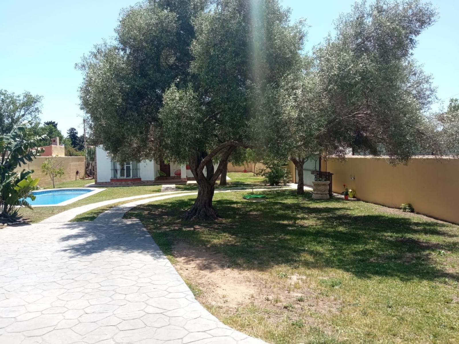 Chalet Pura Vida Chiclana de la Frontera Exterior photo